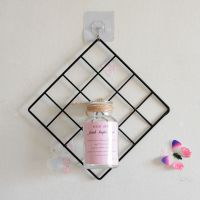 房间装饰品ins女生客厅卧室墙上装饰假花仿真花墙上挂件花瓶玻璃 网格+花瓶(不带灯)