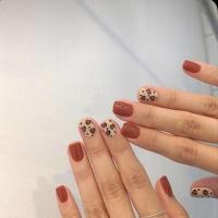 焦糖豹纹短款可卸穿戴美甲贴片成品假指甲指甲贴片甲贴 图片色