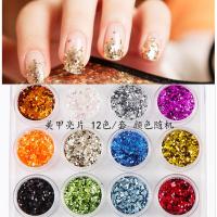 美甲小六边形圆形亮片光疗指甲油胶用品套装镭射闪粉饰品12个盒装 小六边形指甲亮片一套