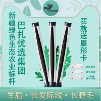 新疆乌斯玛草棒乌斯曼草生眉棒生眉笔奥斯曼生眉液营养睫毛增长液 管装一只(7厘米左右)