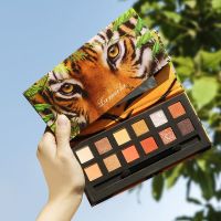 完美眼影盘日记平价眼影不脱妆亮晶晶超闪珠光哑光大地色学生日常 01#老虎盘