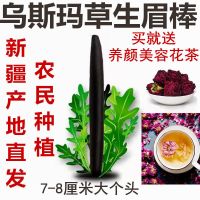 新疆乌斯玛草棒乌斯曼草生眉棒生眉笔奥斯曼生眉液营养睫毛增长液 乌斯玛草棒1支7cm送种子眉卡