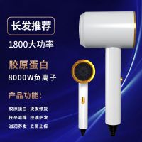 电吹风机家用大小功率静音学生宿舍发廊电吹风筒蓝光负离子不伤发 白色 900W胶原蛋白+即将恢复218元