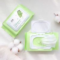 [120片]深层卸妆棉保湿卸妆棉眼脸唇部卸妆湿巾净颜懒人卸妆巾 芦荟正品120片/包