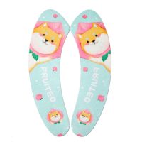 一次性马桶垫家用四季马桶粘贴式通用马桶坐垫旅行装马桶垫坐便垫 一对装秋田犬遇上蜜桃