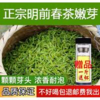 信阳毛尖2021新茶明前浓香型特级嫩芽毛尖茶叶云雾绿茶 罐装/250g 250g
