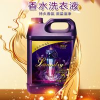 [特价大桶10斤]香水洗衣液香味持久留香强劲去污家庭2斤-10斤 大桶10斤装
