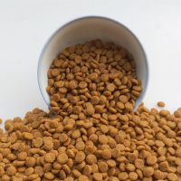 满月小奶狗狗粮1一2个月幼犬蛋黄奶糕犬粮泰迪金毛中小型犬通用型 幼犬--通用奶糕粮 1斤[无赠品]