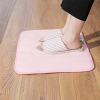 希艺欧简约风浴室家门门口吸水地垫亲肤不掉毛40*60cm颜色随机