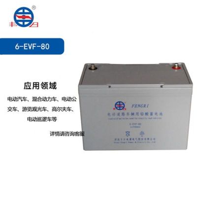 丰日 动力电池EVF 蓄电池 12V 6-EVF-80Ah