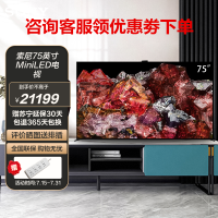 索尼(SONY) XR-75X95EL 75英寸MiniLED 大屏4K超高清120Hz大师级控光AI摄像头旗舰智能电视