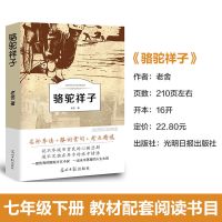 骆驼祥子:光明日报出版社 附赠考题 海底两万里骆驼祥子七年级下册必读 课外书