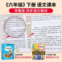 鲁滨逊漂流记[彩版 讲解] 鲁滨逊漂流记汤姆索亚历险记六年级下册课外阅读书籍必读全套