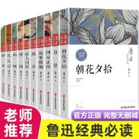 全10册]鲁迅经典全集[盒装] 鲁迅全集经典必读原著六七年级课外阅读书籍狂人日记朝花夕拾正版