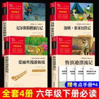 [全套4册]六年级下册必读+考点手册 鲁滨逊漂流记必读正版六年级 骑鹅旅游记 下册必读课外阅读书名著