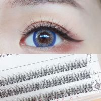 鱼尾8MM(送小胶水+镊子) 悠亦诗假睫毛女A型单簇120簇混合装仙子朵毛自然仿真超软眼睫毛