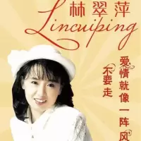 4G林翠萍专辑80首 内存卡 林翠萍歌曲专辑U盘爱情一阵风不要走风飞沙音频内存卡优盘MP3