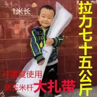 10*1米/68根左右 捆玉米杆神器扎带秸秆自锁绳米干尼龙扎带一米卡扣捆苞米杆勒死狗