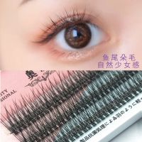 鱼尾8mm 嫁接假睫毛单簇自然鱼尾朵毛眼睫毛自然嫁接梦鹿眼睫毛自然嫁接