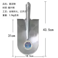 圆头2.2斤 王中王挖树锹锰钢淬火锹挖树铲起树铲钢锹园林锹起苗锹挖树工具用