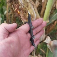 玉米神器左手1个_随机发一个坏的 收玉米锹玉米叉子扒玉米小神器玉米皮棒子皮小神器一把抓剥皮秋收