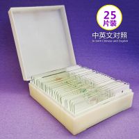 25片装 高透光生物切片显微镜标本 动物植物永久装片细胞玻片25/50/100片