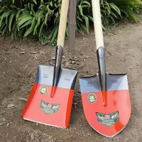 木把 农用铁锹钢锹尖锹平锹挖土填坑种树种花锹园林用锹