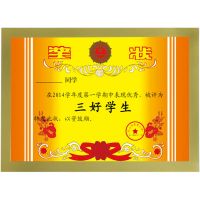 金色A4[29.7*21厘米] 磁性相框奖状挂墙荣誉学生证书收纳展示装裱营业执照贴墙免打孔贴