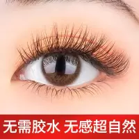 4D自然款 体验装1盒[没有镊子胶条] 4D自粘防水眼睫毛免胶水假睫毛卸妆无残留1秒轻松上妆可重复使用