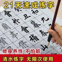 [全套装]水写布12件毛笔+水碟 无需墨水清水练书法可写万次专用推荐精选水写布礼盒套装过年礼物
