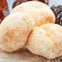 450g 长白山天然猴头菇深山猴头菇干货猴蘑菇山珍农家南北干货450g养胃