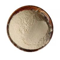 普通面粉非自发 金沙河小麦自发粉包子馒头专用粉家用中高筋面粉水饺蛋糕粉深圳面