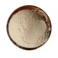 普通面粉非自发 金沙河小麦自发粉包子馒头专用粉家用中高筋面粉水饺蛋糕粉深圳面