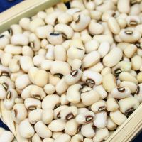 1斤眉豆 -眉豆5斤 农家白豇豆 白豆白饭豆打豆浆豆类五谷杂粮粗粮豆子1斤