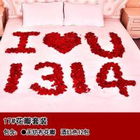 浪漫花瓣套餐十七 表白布置生日玫瑰花瓣套餐浪漫求婚惊喜周年庆纪念日房间床上装