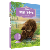 纸质 第一版 动物小说大王沈石溪精品集(注音版)·狼獾与少年 其它儿童读物
