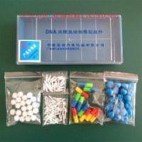 DNA双螺旋结构模型 DNA双螺旋结构模型组件J3242E 高中生物 实验器材 教学仪器
