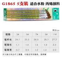 G1865适合水粉 丙烯(5支装) 马利牌颜料画笔 水彩笔水粉笔丙烯画笔国画颜料画笔套装绘画工具