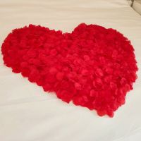 大红花瓣11包 仿真玫瑰花瓣情人节浪漫求婚表白生日趴装饰制造浪漫惊喜房间布置