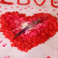 大红5包 10包装1000片 婚庆用品婚礼装饰床花手撒花 抛花绢布仿真玫瑰花瓣
