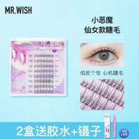 小恶魔漫画睫*1 Mr.wish/心愿先生cos小恶魔漫画仙女款单簇假睫毛
