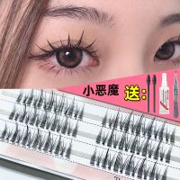 小恶魔假睫毛(送胶水镊子) 分段式小恶魔假睫毛已剪好单簇仙子眼睫毛自然仿真cosplay漫画款