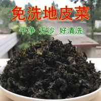 免洗地皮菜50克一两装 地衣野生免洗地皮菜干货河南特产地达菜地曲挛地软干净50g100g