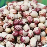 1斤熊猫豆 熊猫豆5斤农家自产奶小花芸豆猫眼豆花缸豆饭豆豆类杂粮粗粮1斤