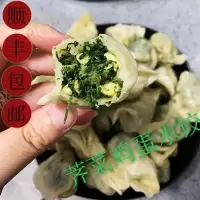 两盒 手工水饺,野菜、荠菜水饺,速冻水饺,现包现发