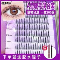 黑色A型睫毛混合装 植物诗A型仙子睫毛混合装分段式自然女款种植假眼睫毛自己嫁接C翘