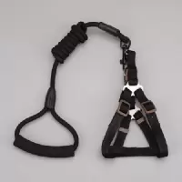1.2米黑色两件套/ XS(建议3-8斤) 宠物猪小香猪牵引绳荷兰猪用茶杯猪遛猪绳子绑猪绳