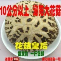 500g 泌阳超大花菇干货香菇蘑菇南北干货农家特产500g