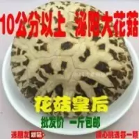 500g 泌阳超大花菇干货香菇蘑菇南北干货农家特产500g