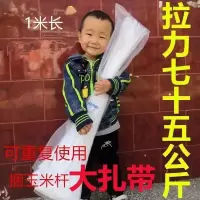 10*1米68根左右 捆玉米杆神器扎带秸秆自锁绳米干尼龙扎带一米卡扣捆苞米杆勒死狗